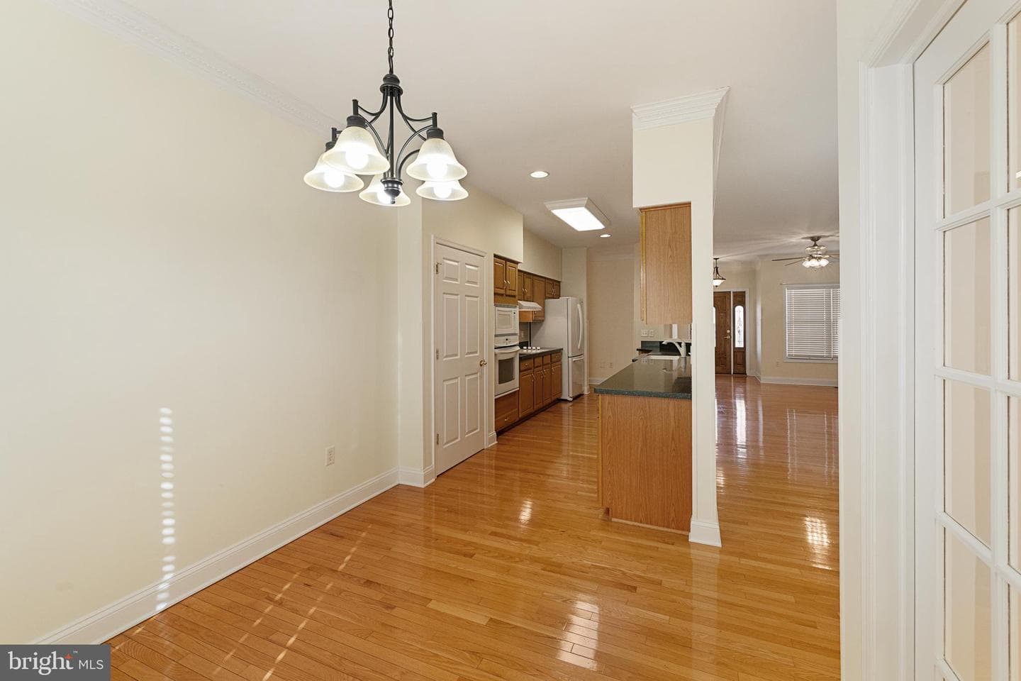 207 Donna Drive photo 18