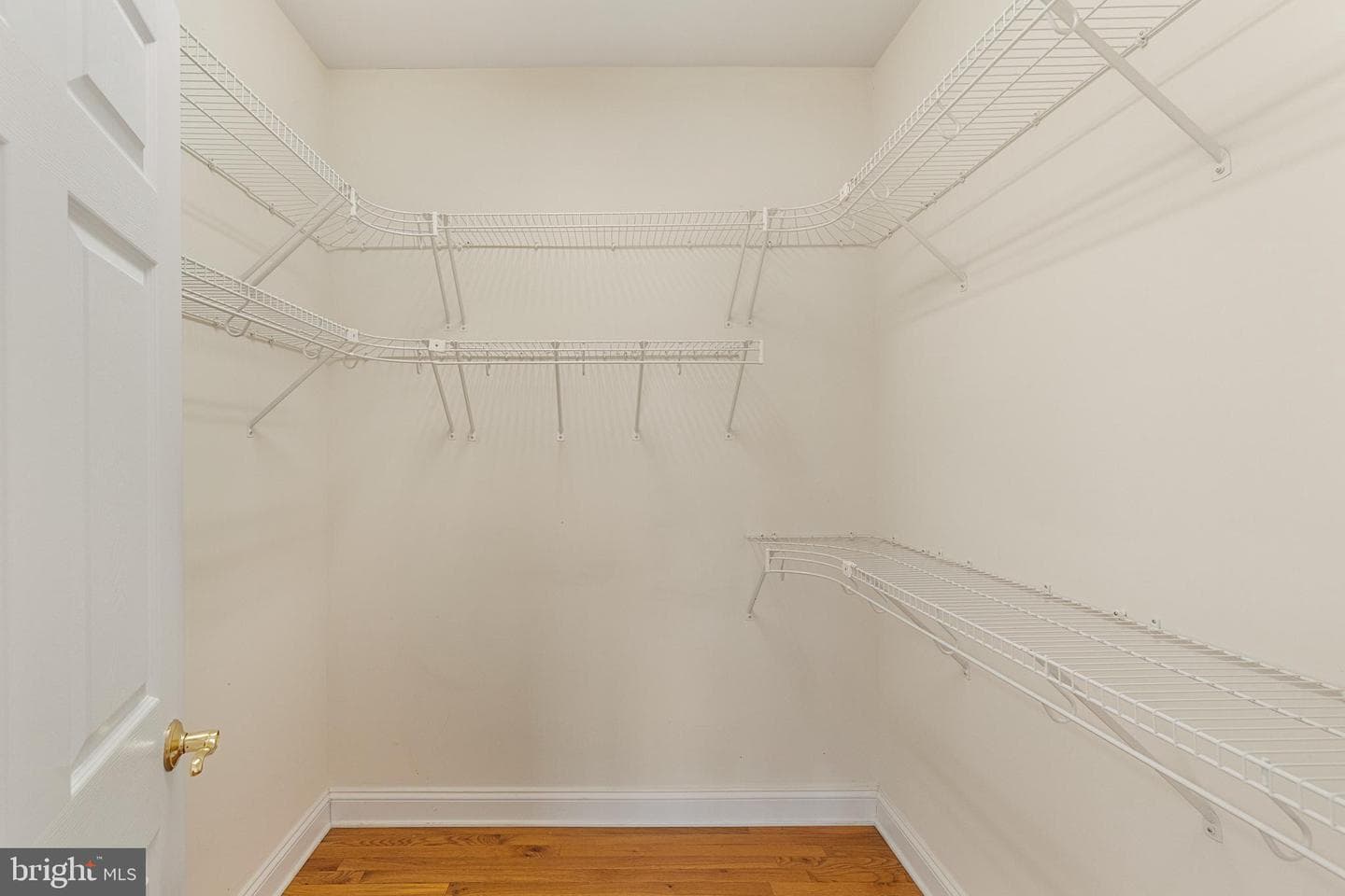 207 Donna Drive photo 46