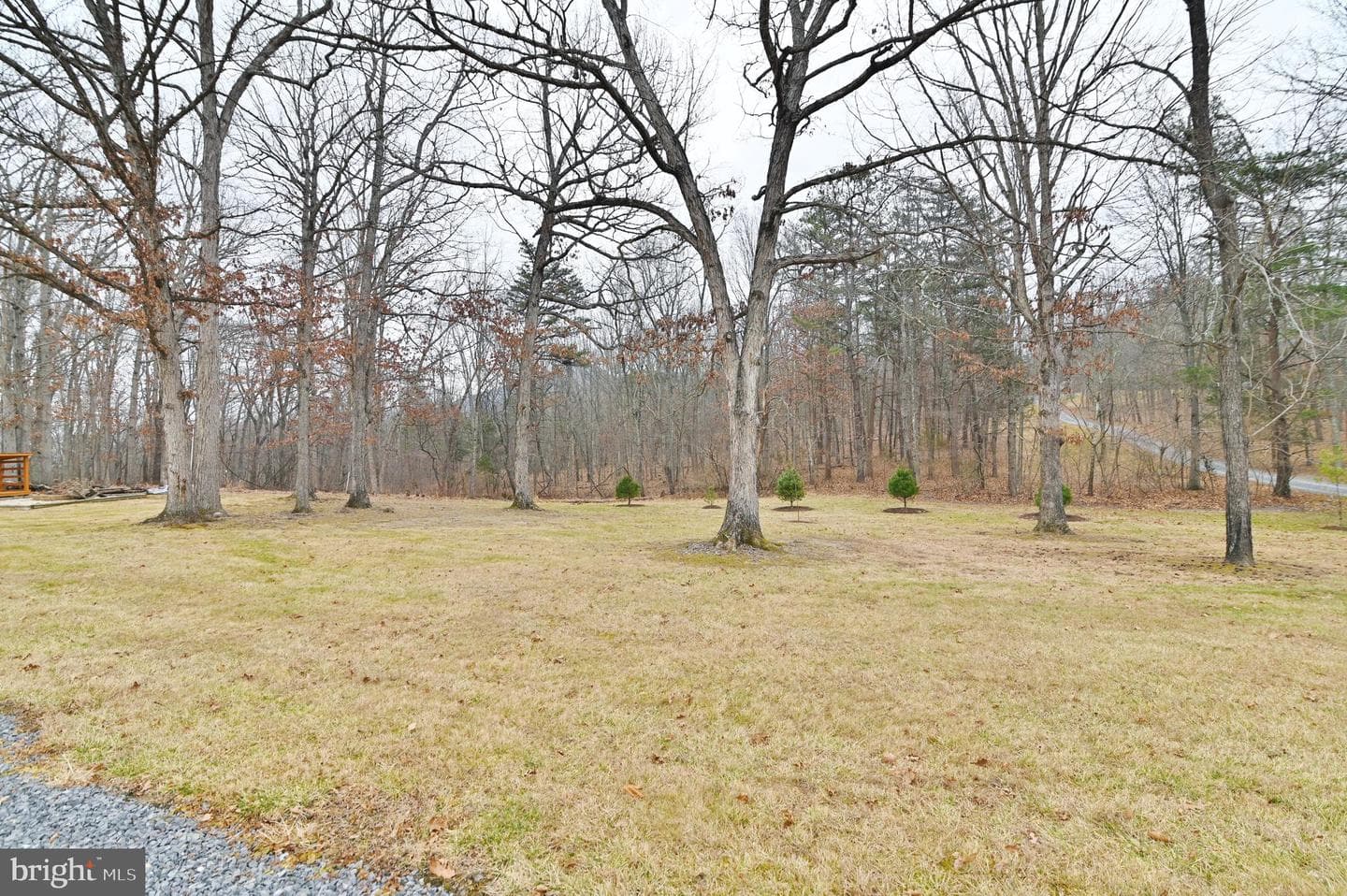 67 Plum Tree Lane photo 46