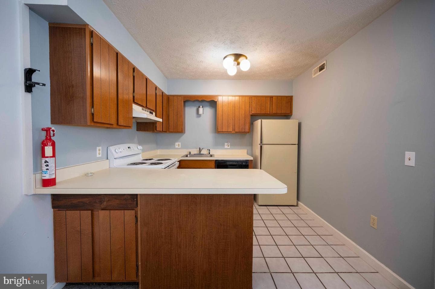377 Spitz #100 A&b photo 13