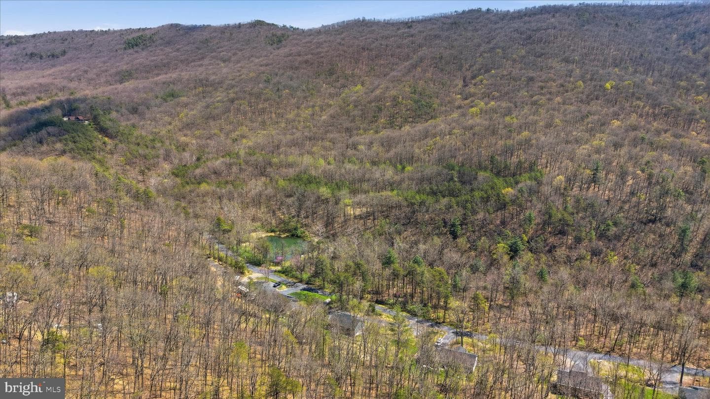 4071 Moreland Gap Road photo 38