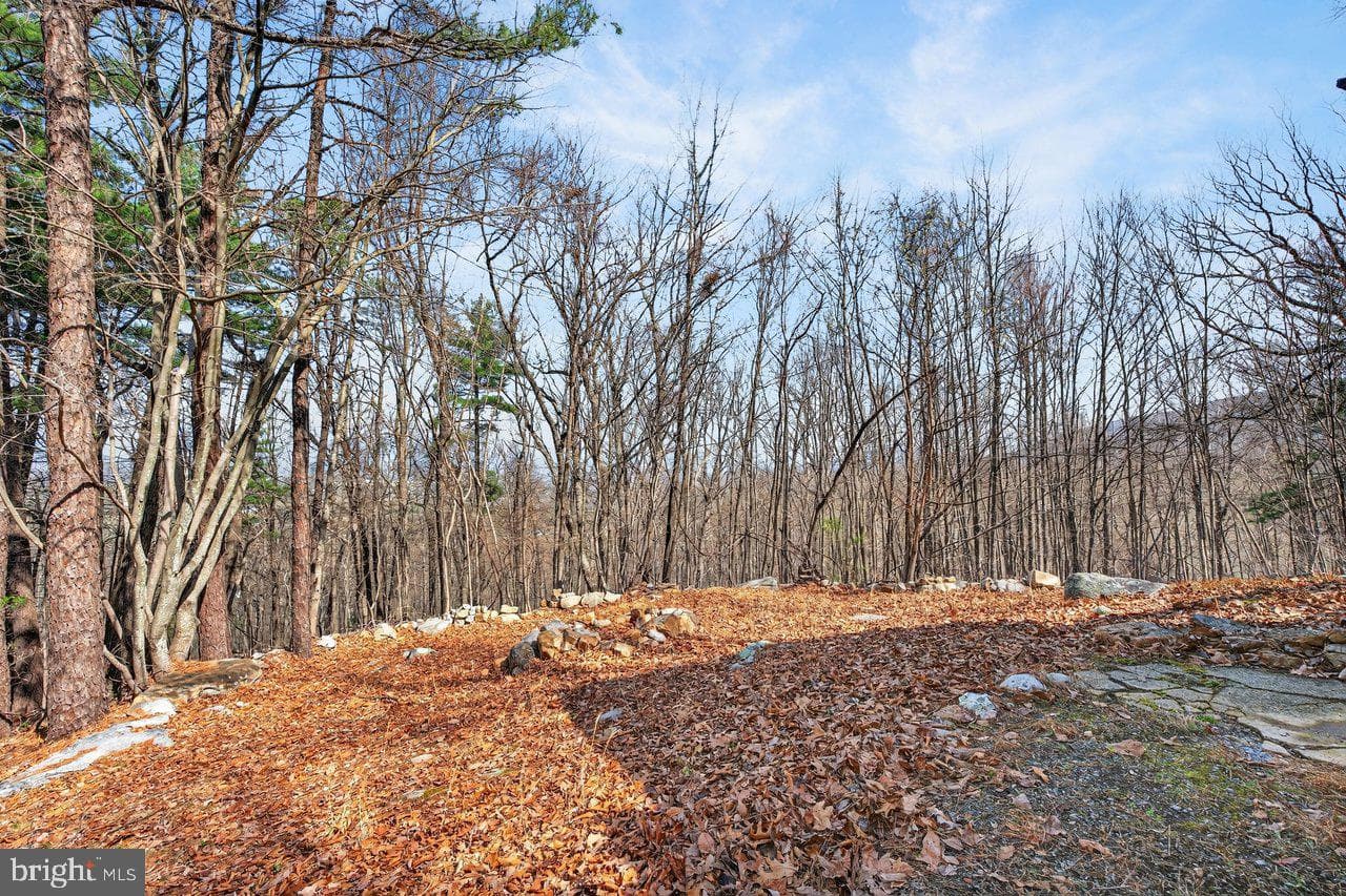 137 Sandstone Lane photo 28