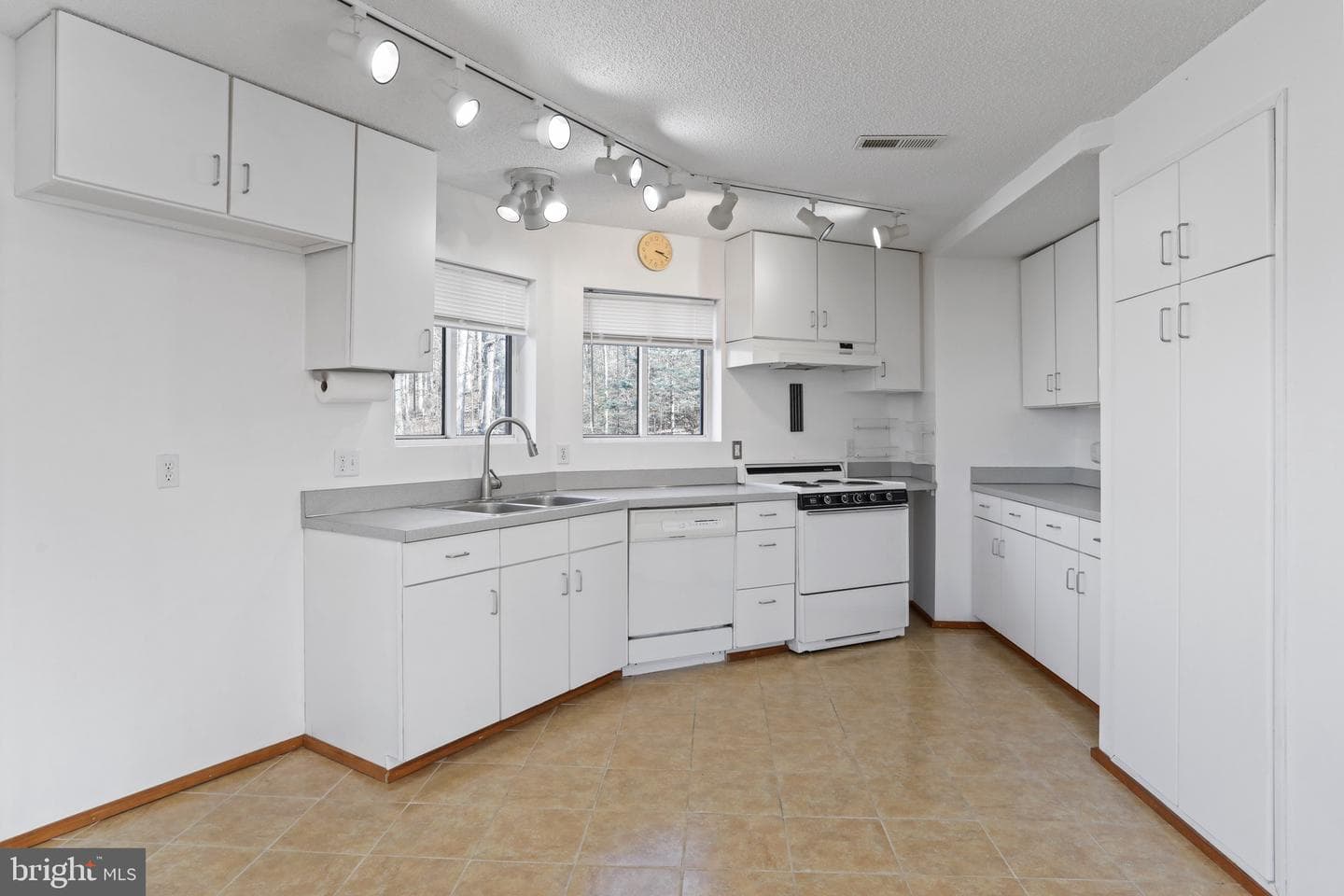 308 Brush Leaf Lane photo 10