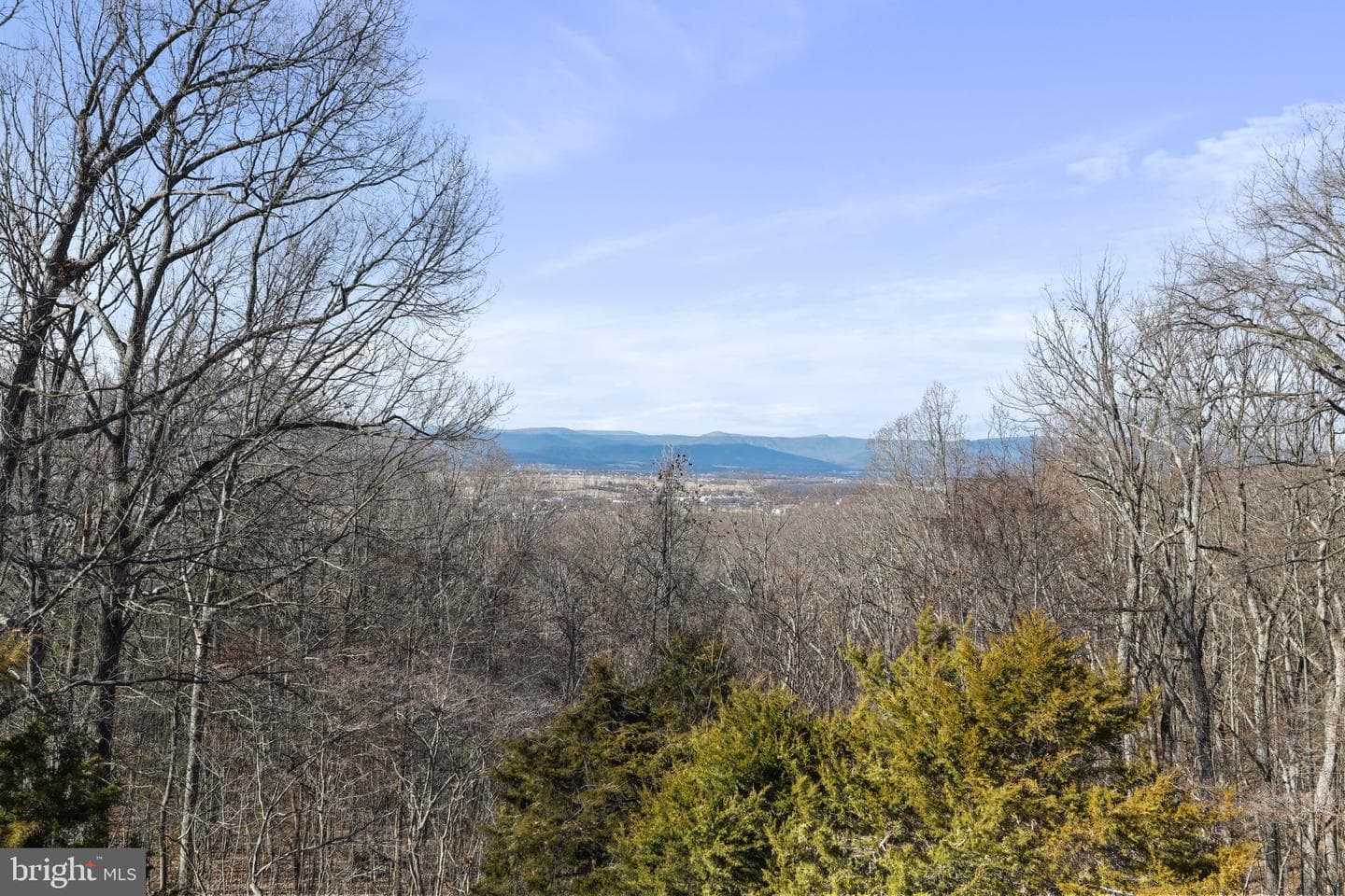 308 Brush Leaf Lane photo 23