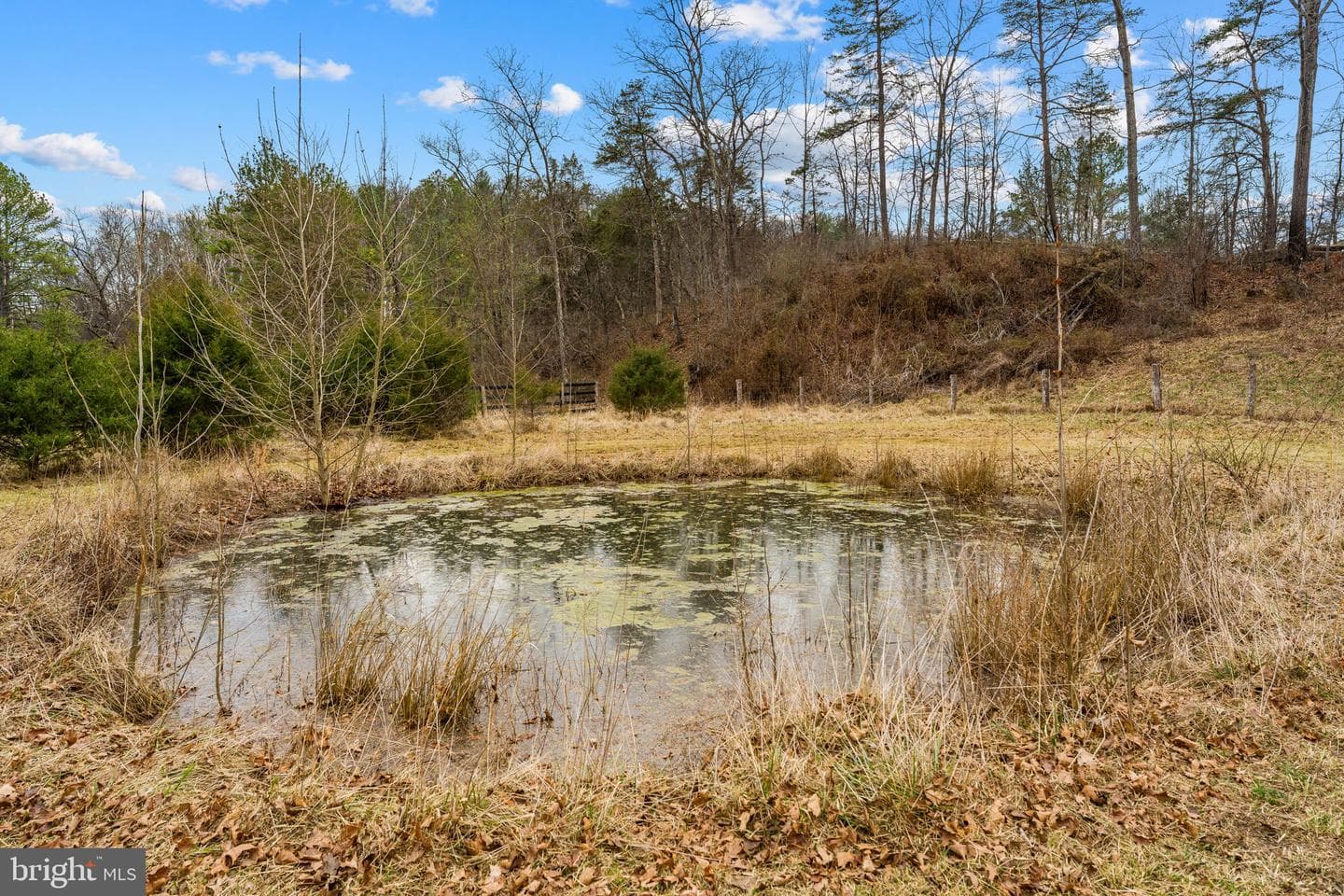 1537 Coal Mine Road photo 98