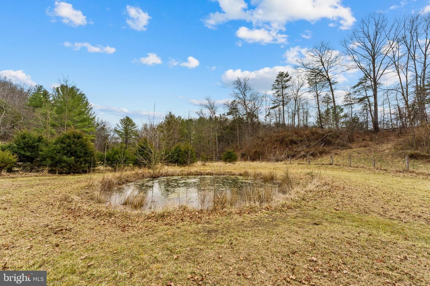 1537 Coal Mine Road photo 99