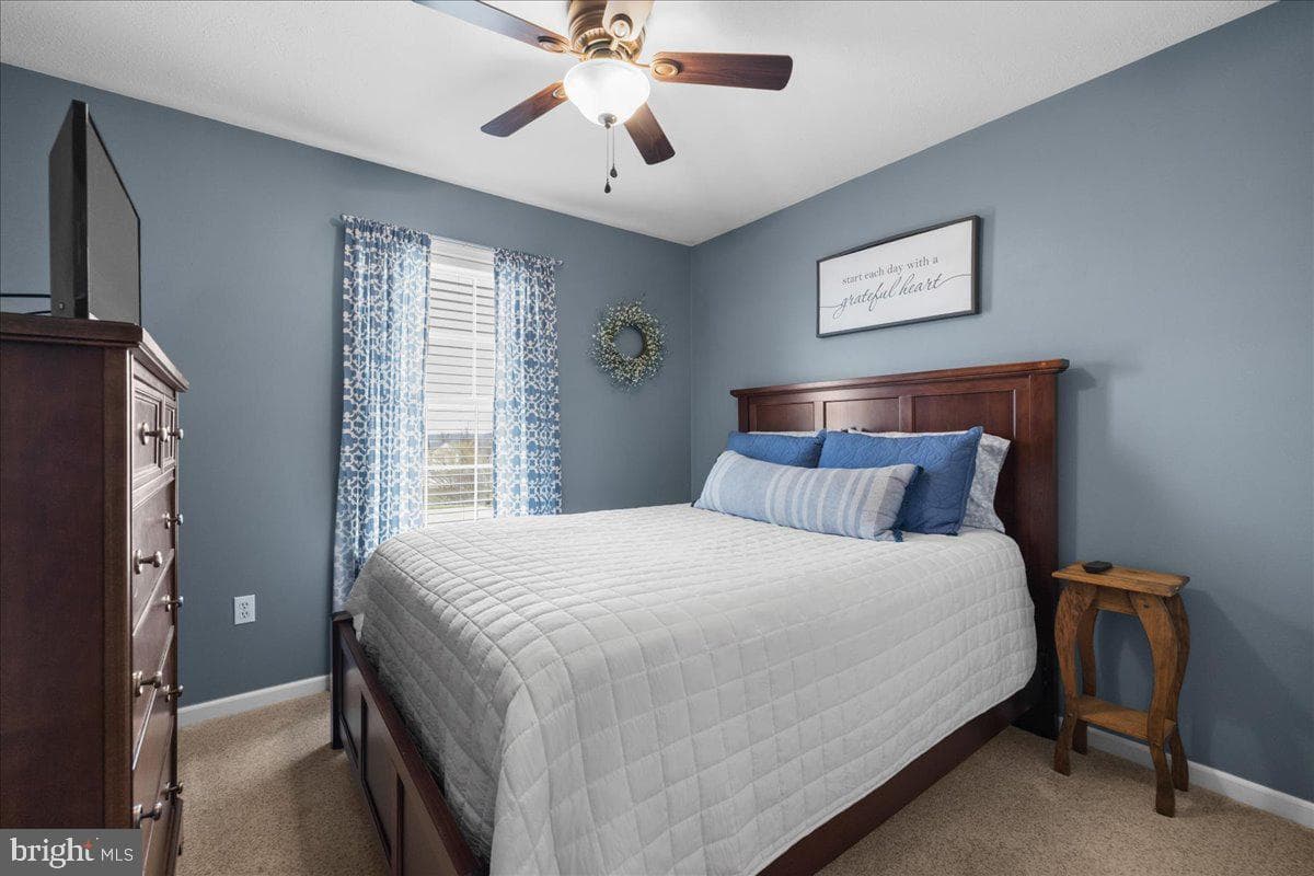 36 Ellen Drive photo 13