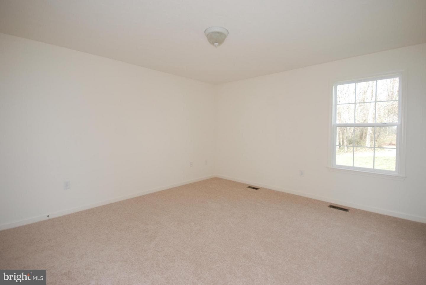 Lilleigh Court - Lot 50 photo 18