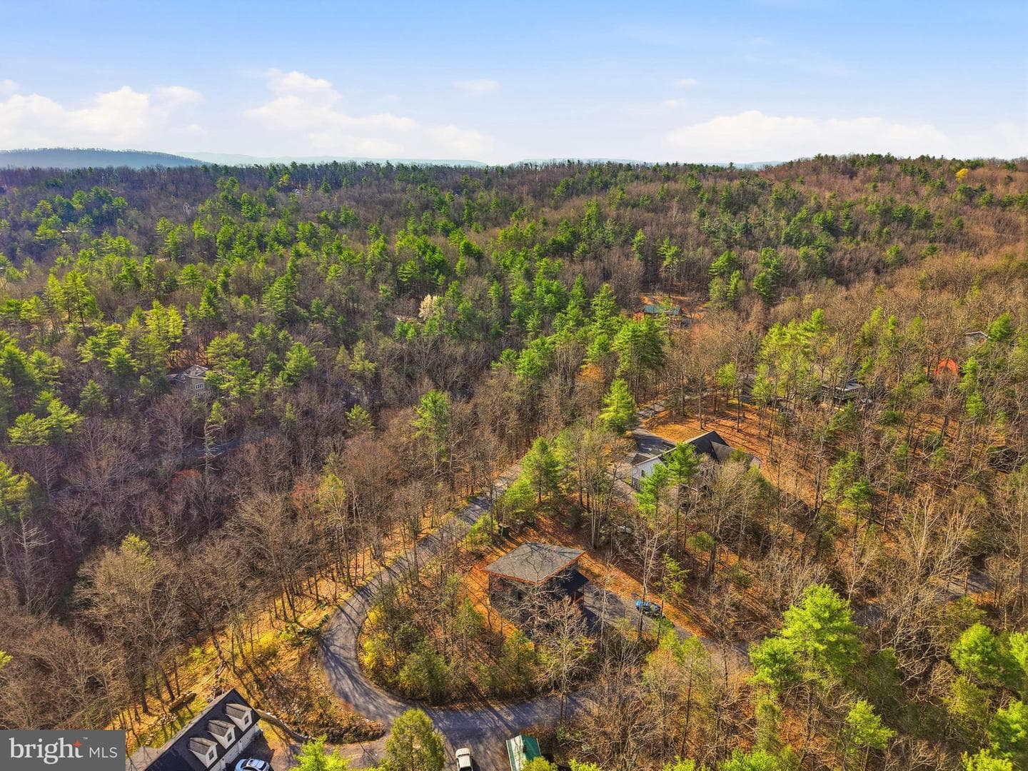 1034 Greenview photo 81