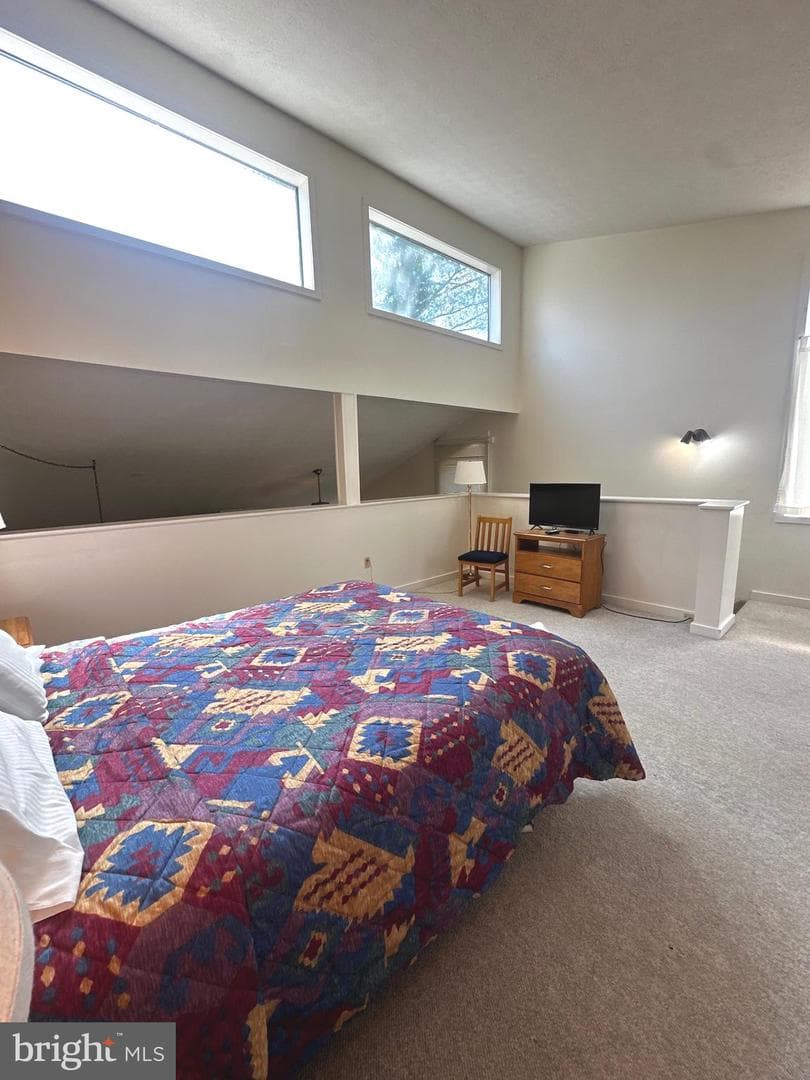393 Spitz Lane #99 photo 4