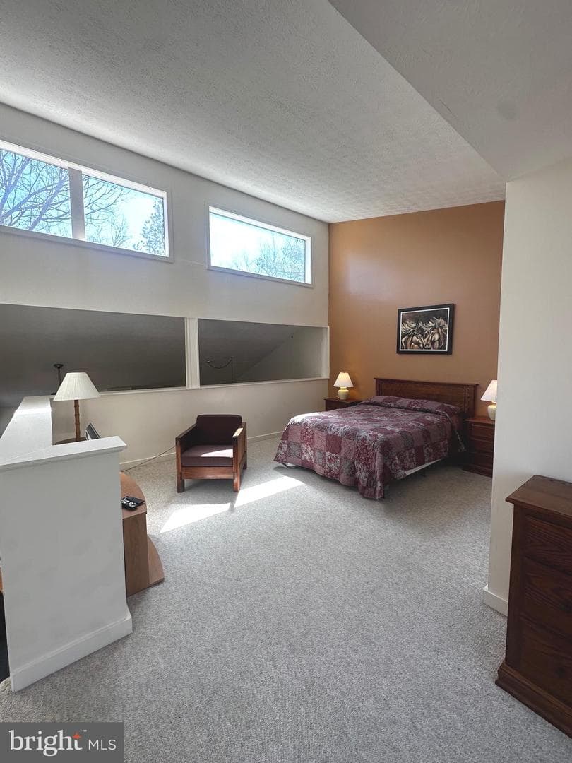 393 Spitz Lane #99 photo 41