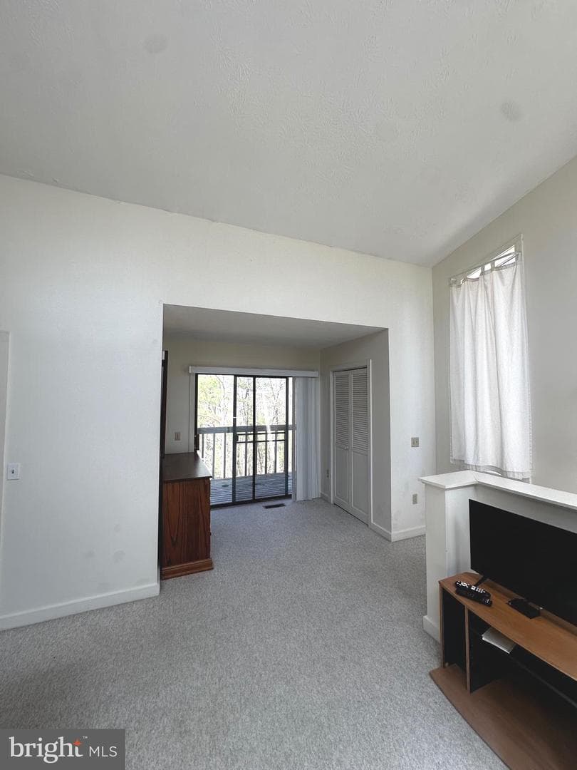 393 Spitz Lane #99 photo 47