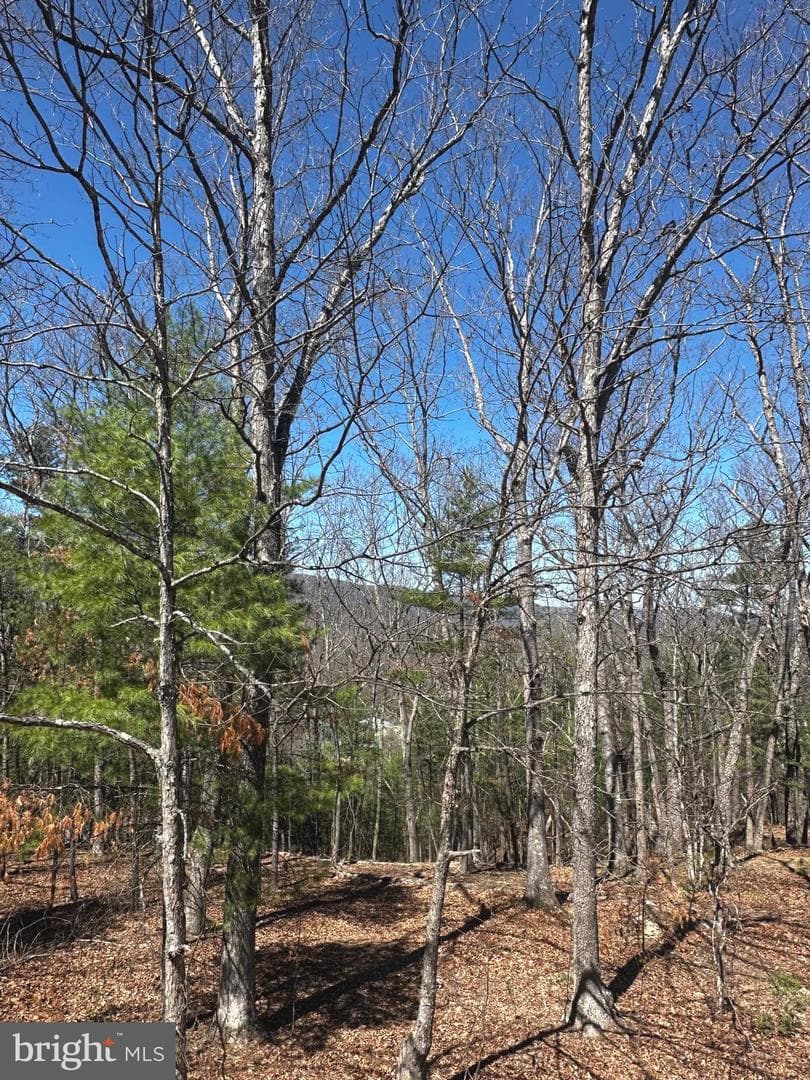 393 Spitz Lane #99 photo 50