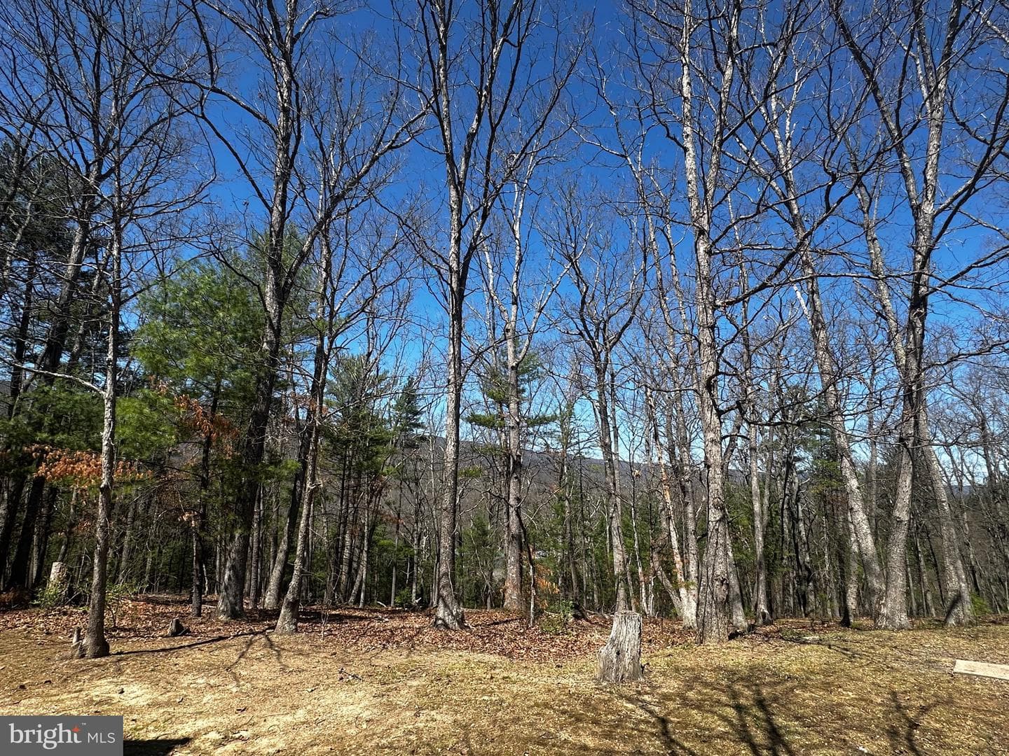 393 Spitz Lane #99 photo 79