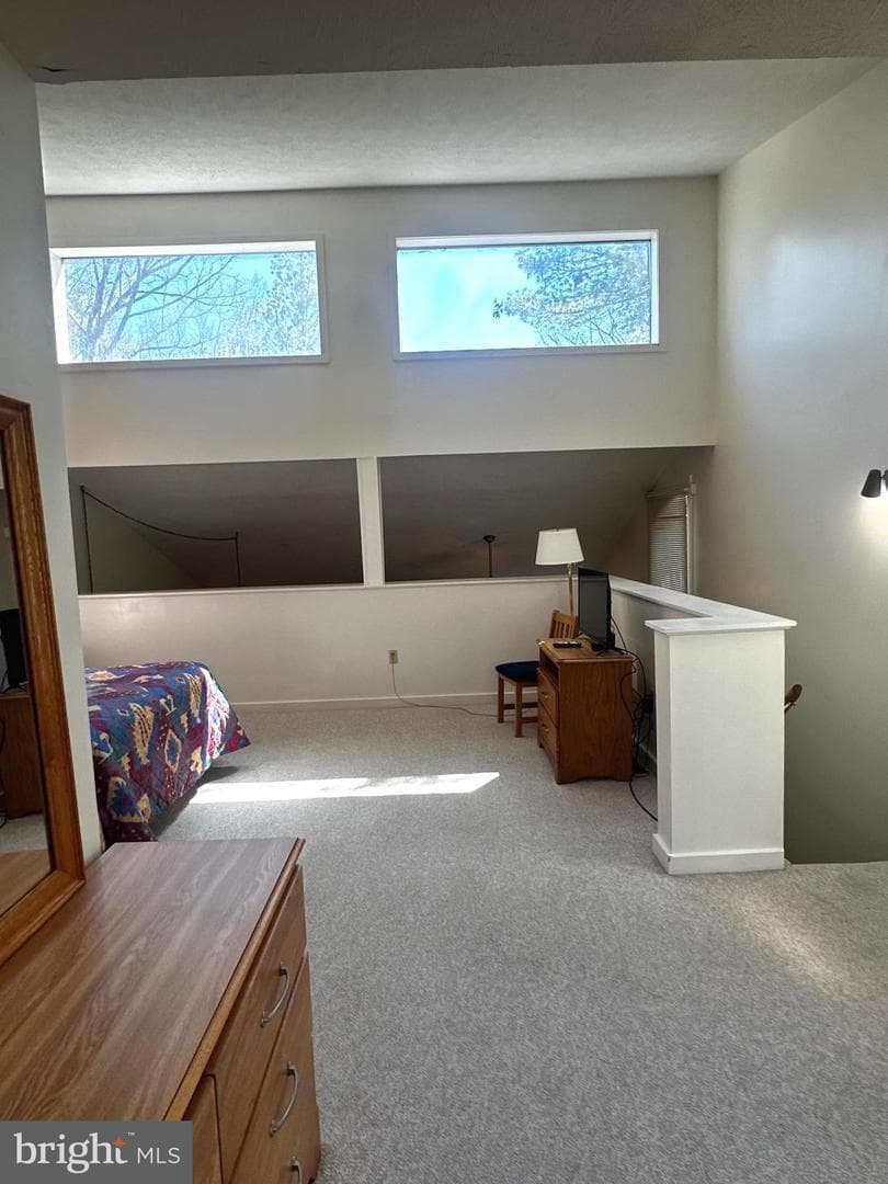 393 Spitz Lane #99 photo 9