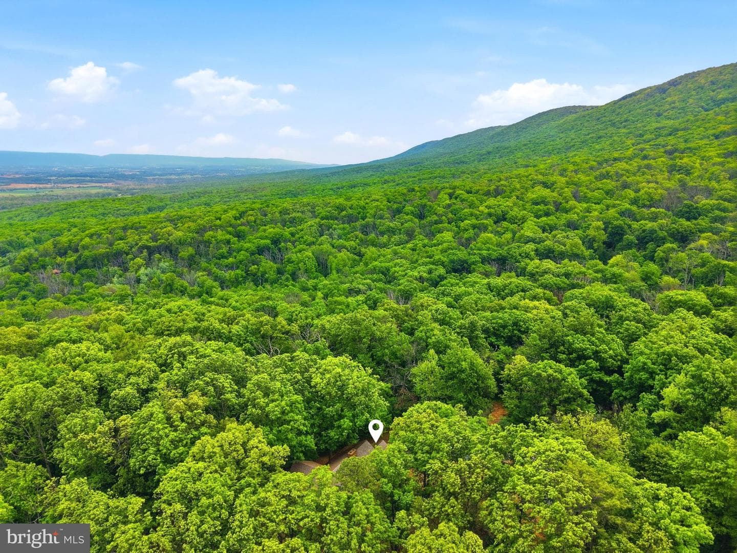 549 Mountain Laurel Drive photo 39