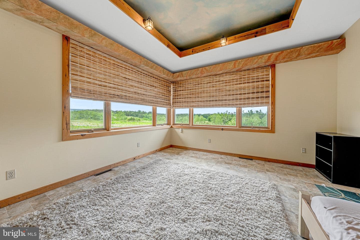 895 Fishers Road photo 23