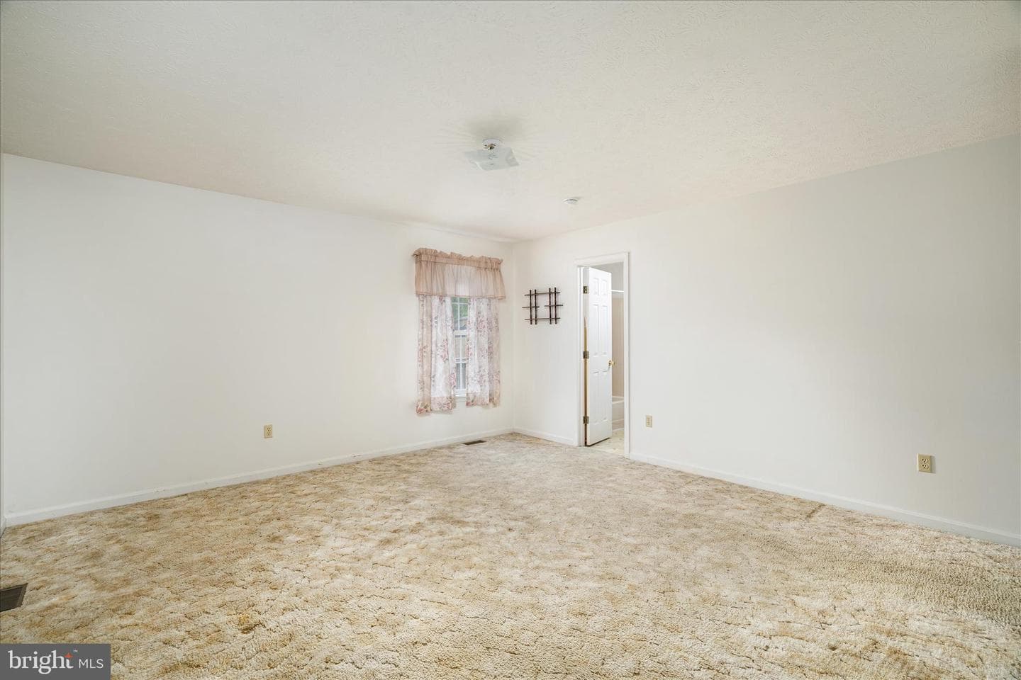 277 Miller Drive photo 11