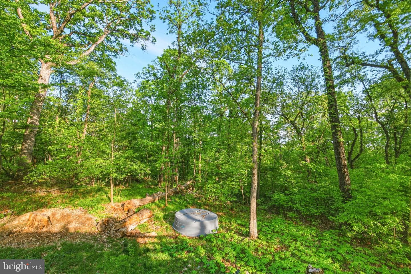 816 Hilltop Lane photo 13