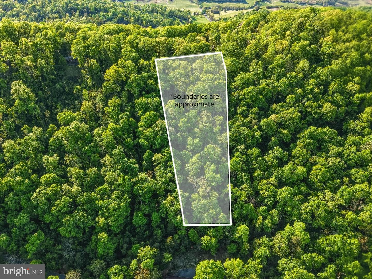 816 Hilltop Lane photo 4