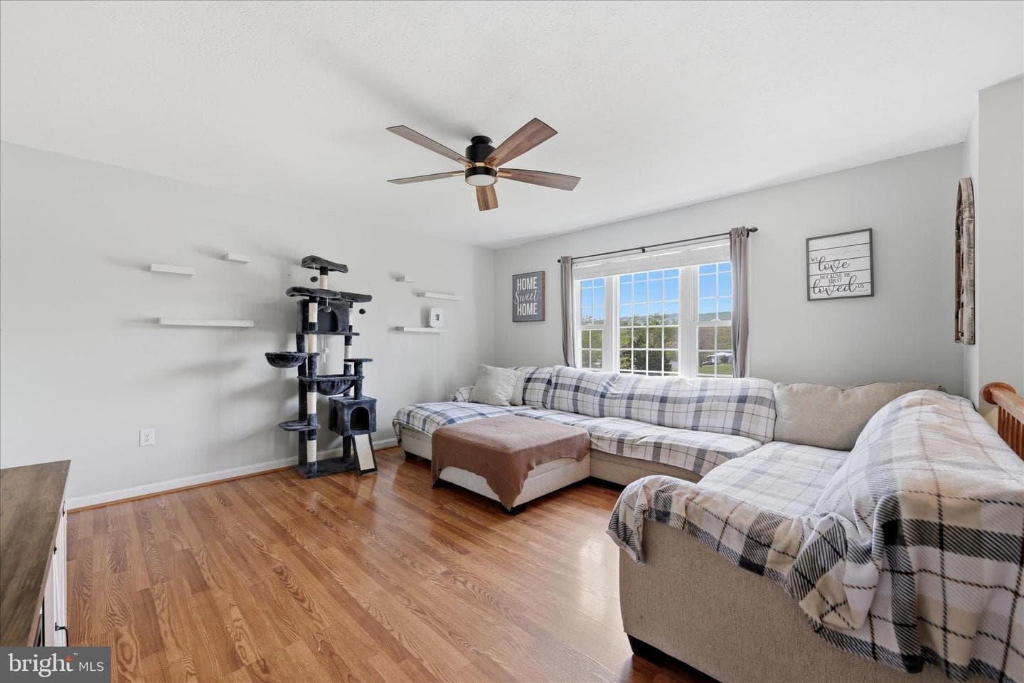 25996 Old Valley Pike photo 5