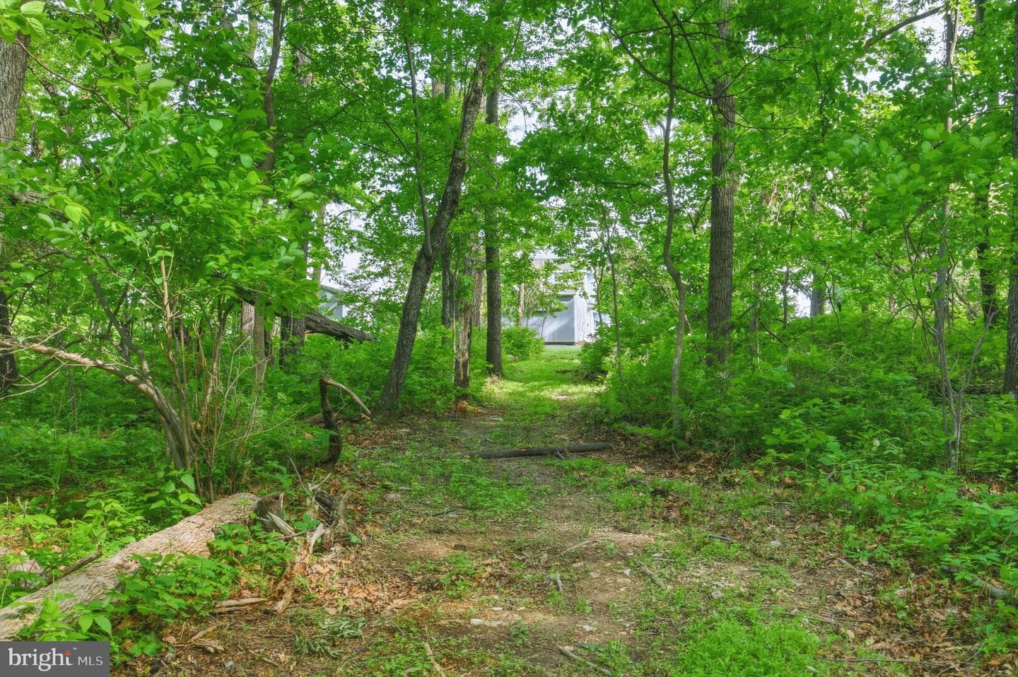 475 Fairview Cir photo 71