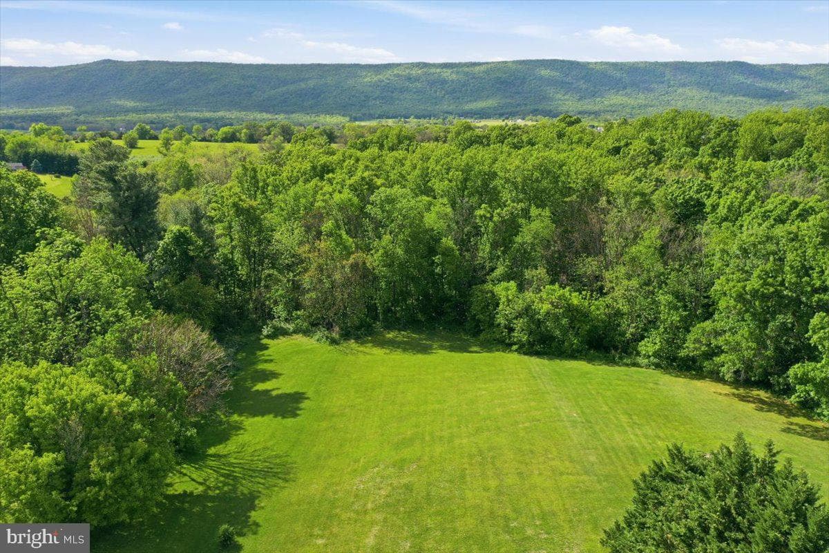 1503 Country Brook Road photo 8