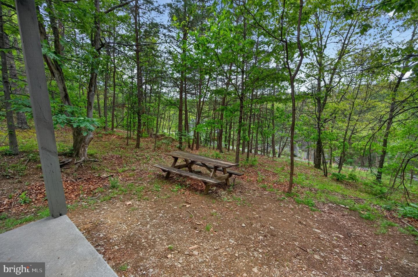 404 Spitz Ln # 88B photo 17