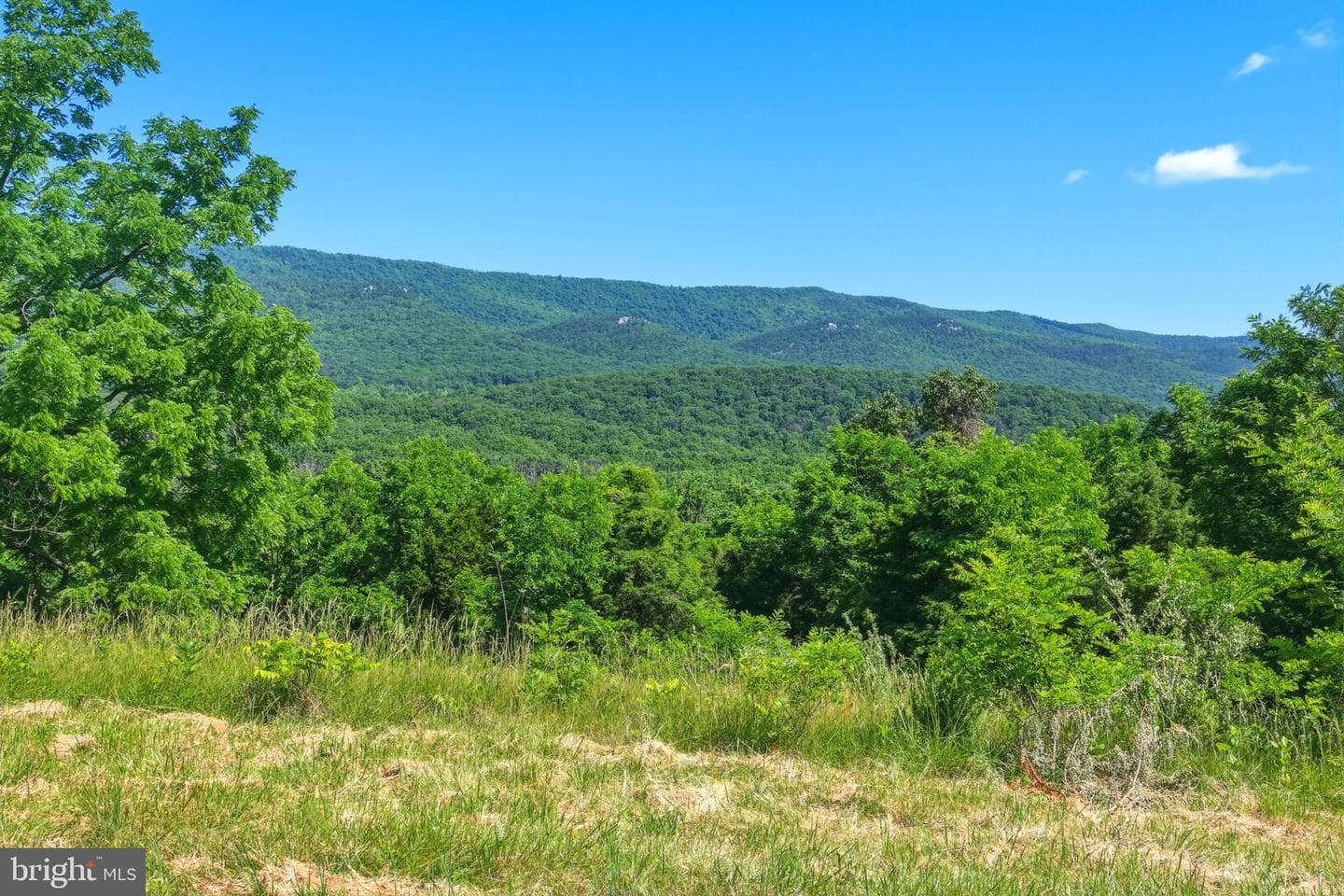 1639 Sugar Hill Road photo 18