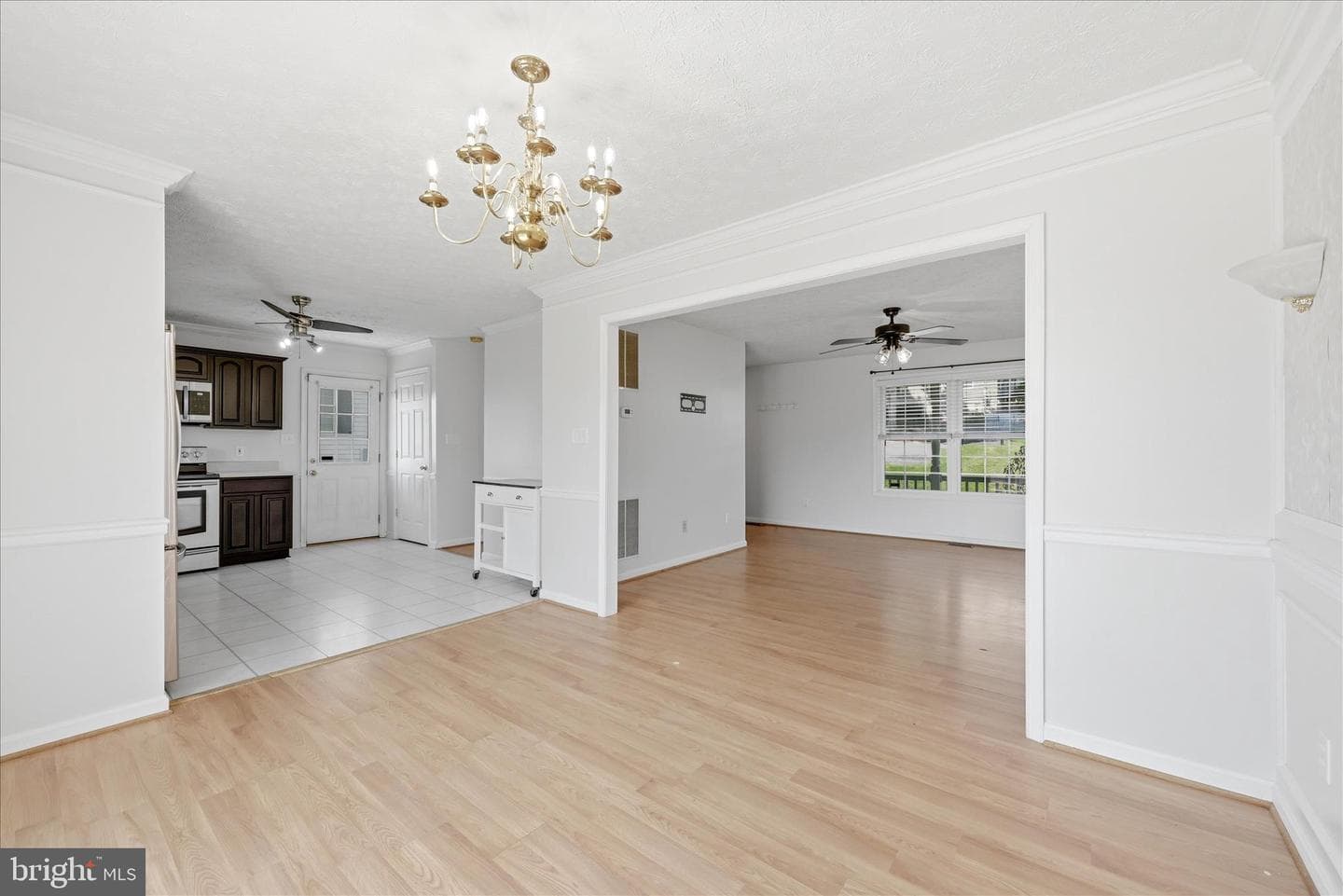 556 Thompson Street photo 18