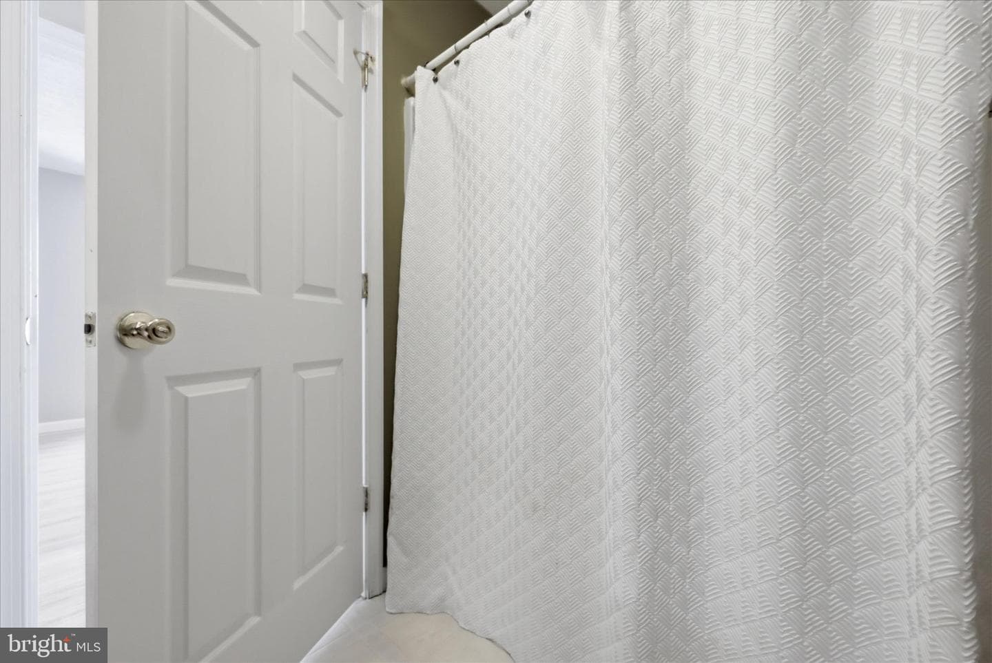 556 Thompson Street photo 29