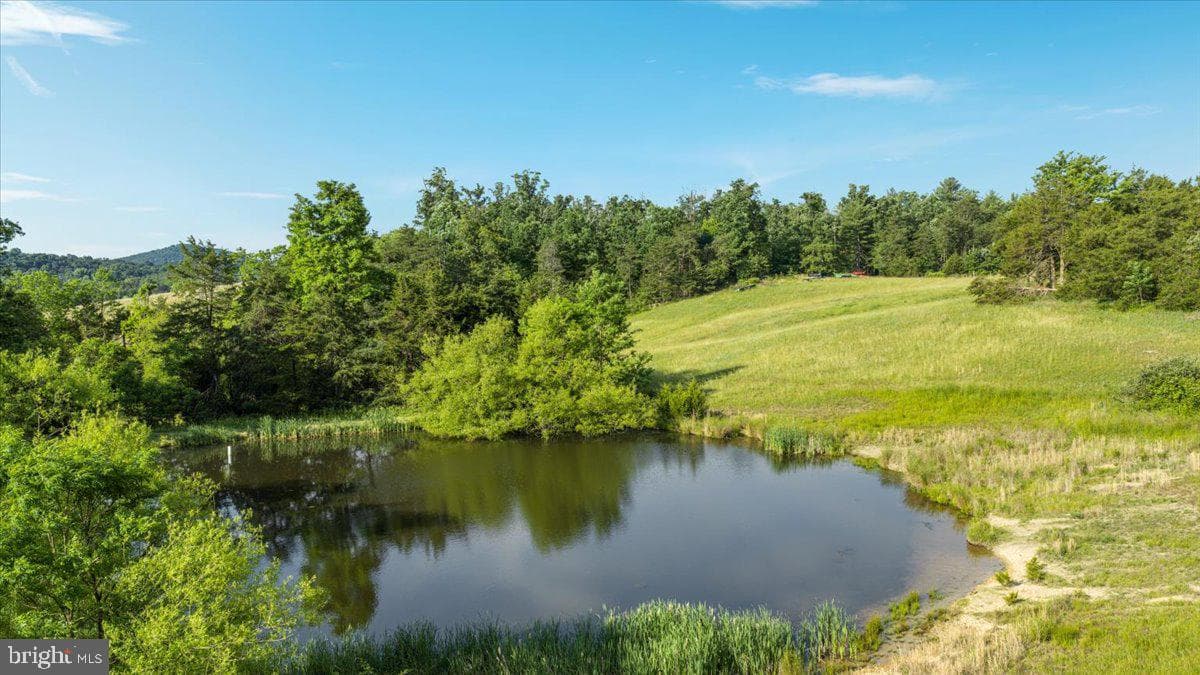 368 Ridge Hollow Road photo 93