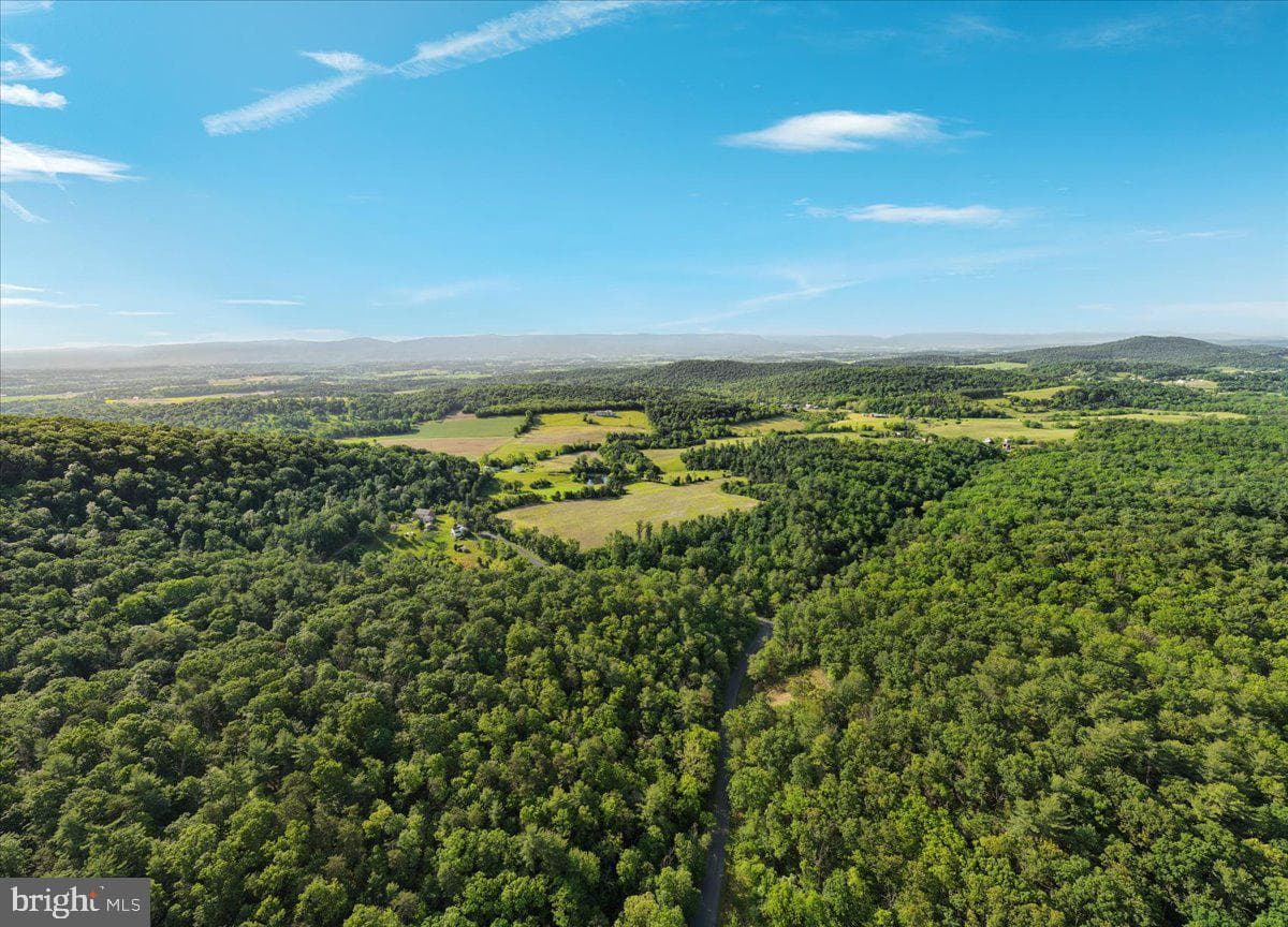 368 Ridge Hollow Road photo 97