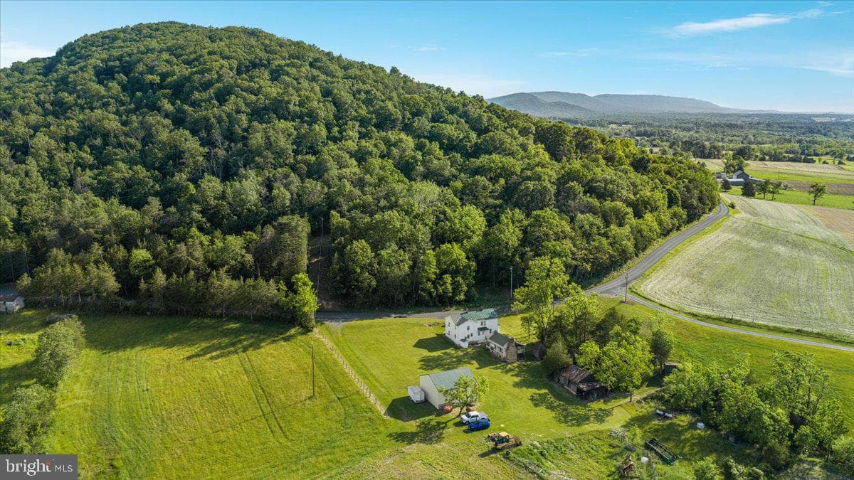 368 Ridge Hollow Road photo 98