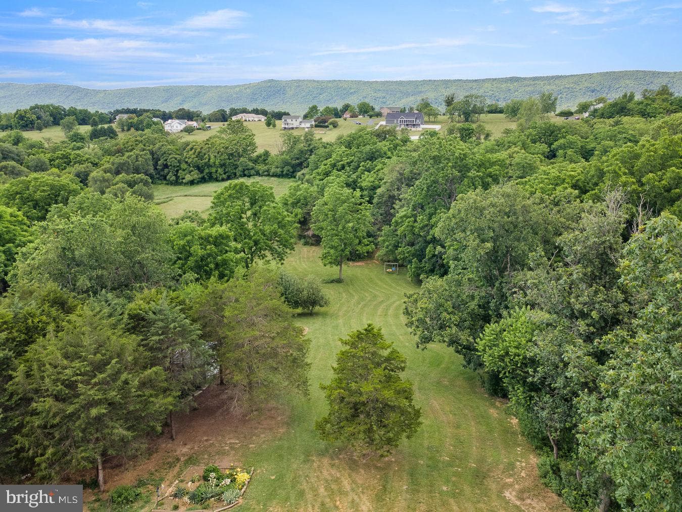 1233 Country Brook Road photo 18