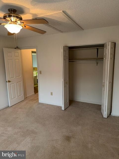 212 Pelham Drive photo 15