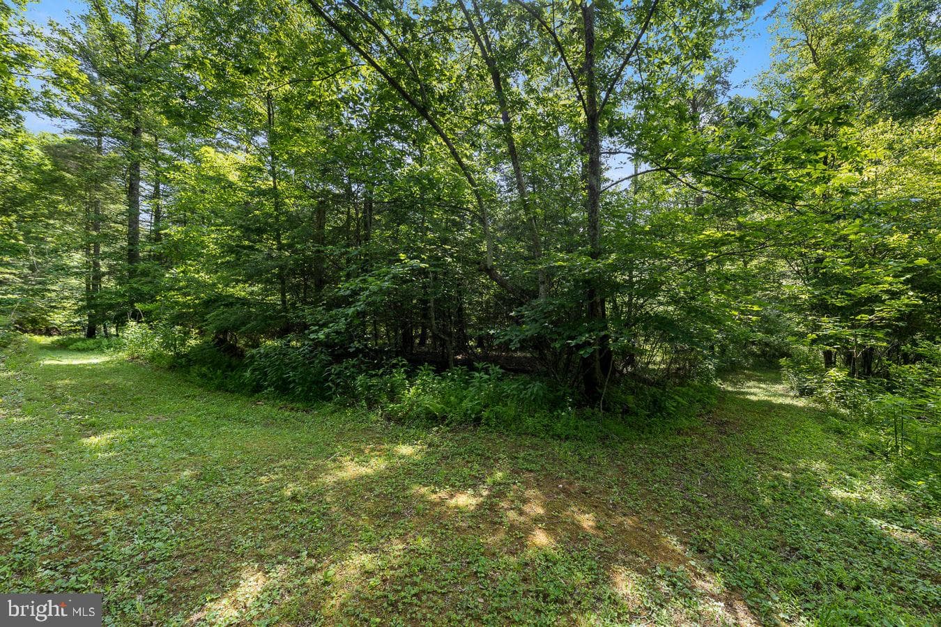 1499 Buggy Ridge Road photo 27