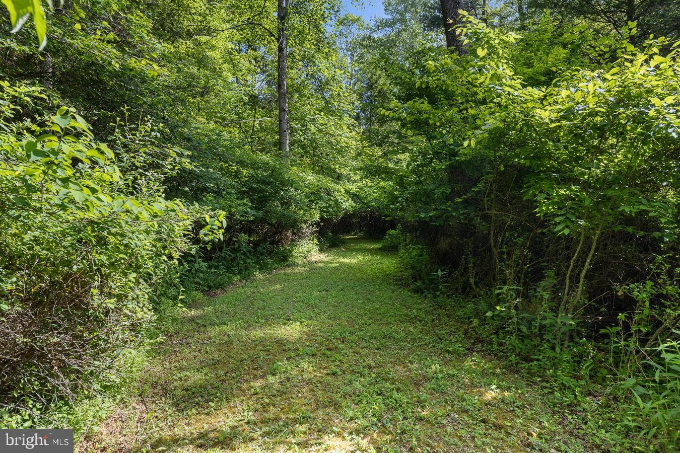 1499 Buggy Ridge Road photo 28