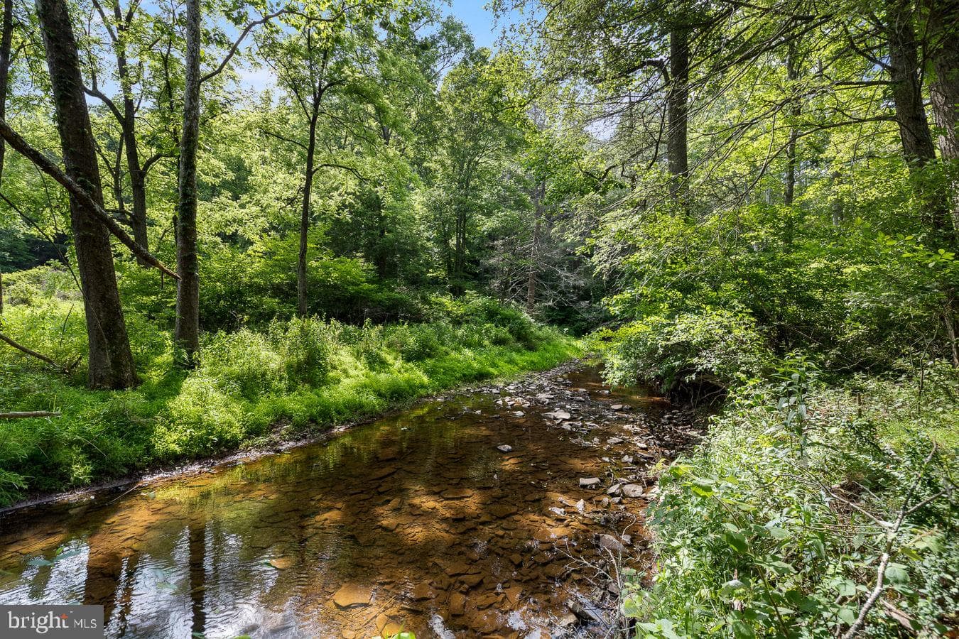 1499 Buggy Ridge Road photo 29