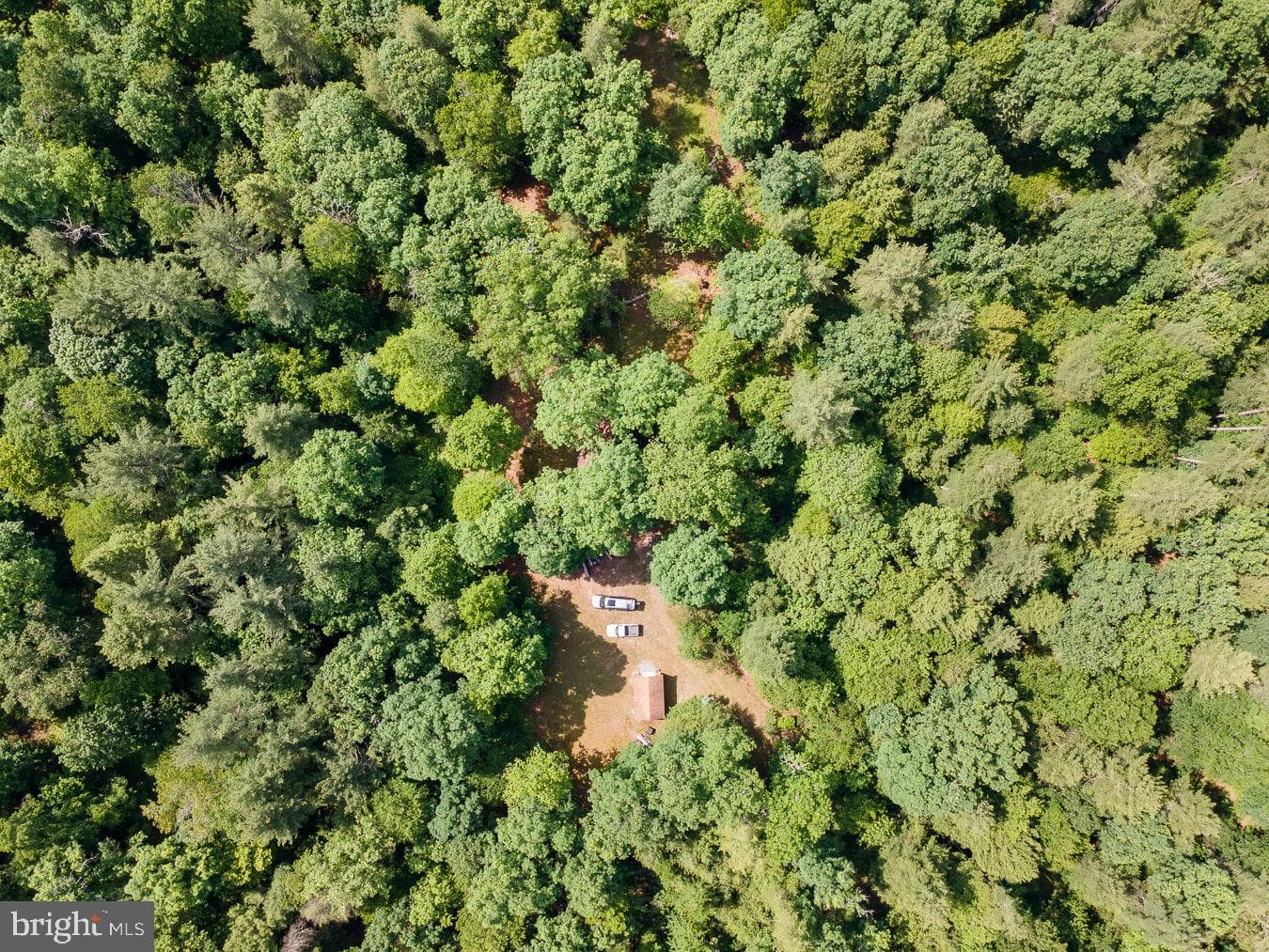 1499 Buggy Ridge Road photo 3