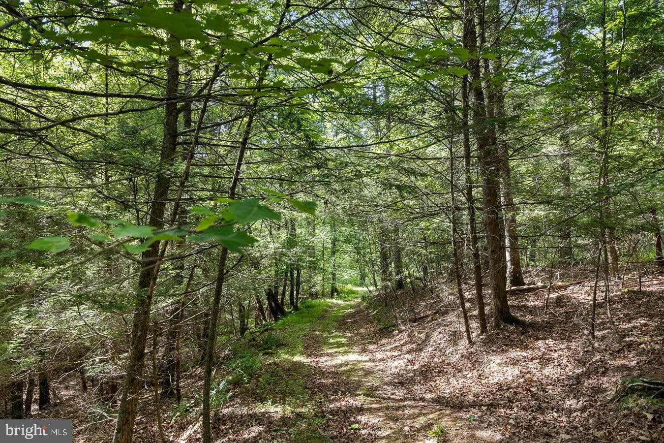 1499 Buggy Ridge Road photo 31