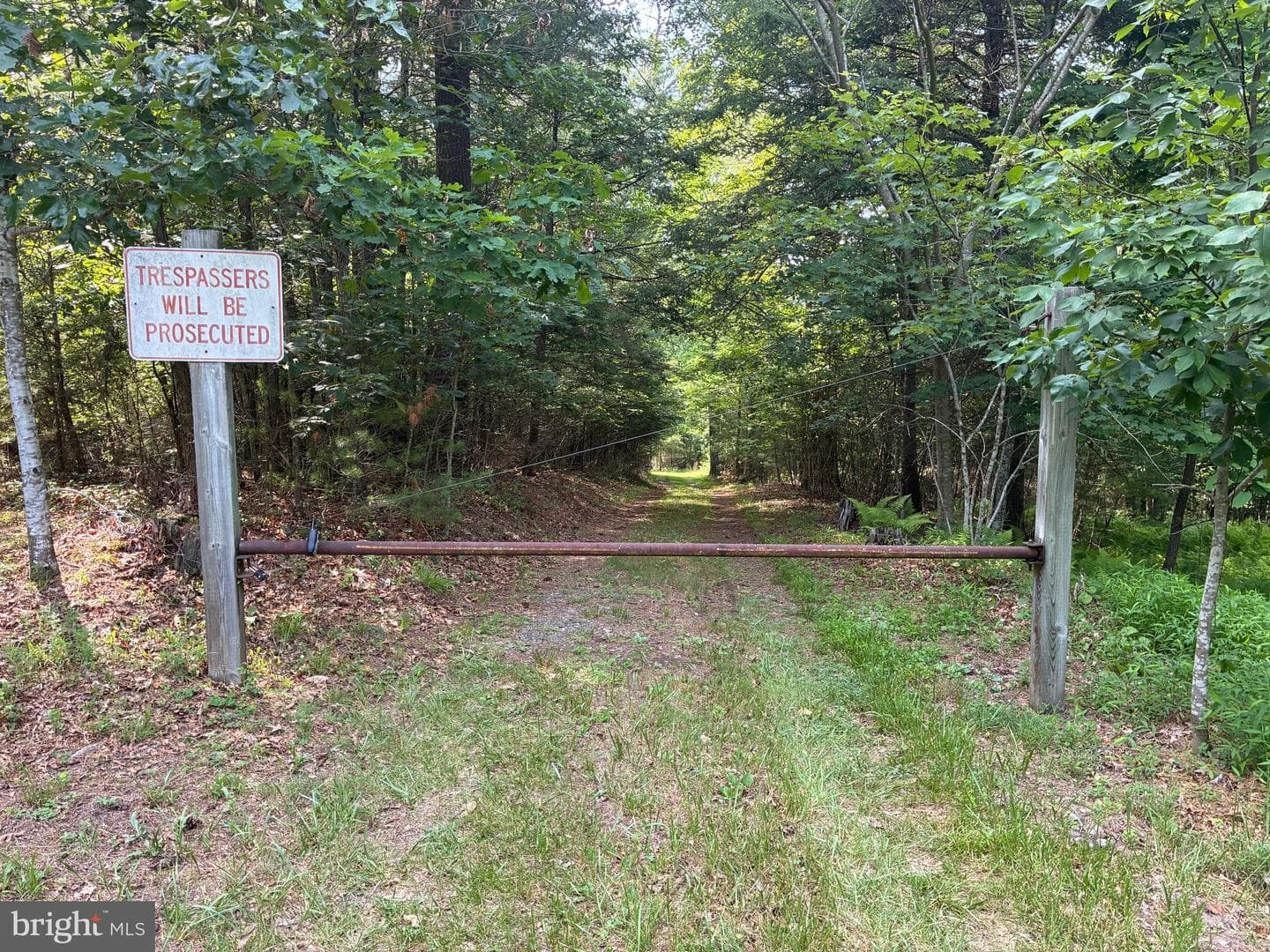 1499 Buggy Ridge Road photo 33