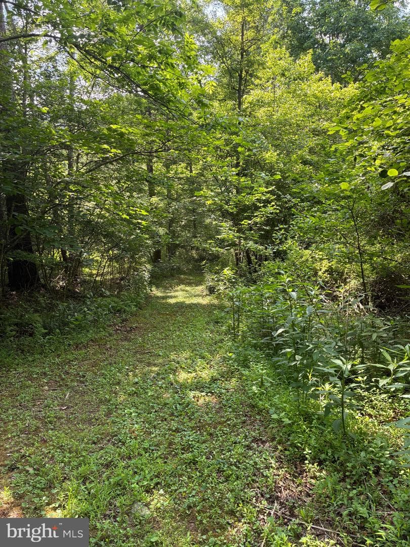 1499 Buggy Ridge Road photo 35