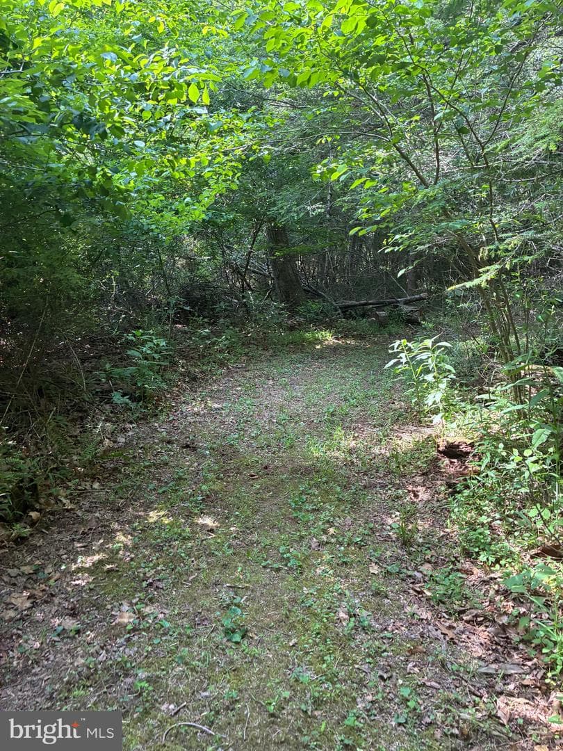 1499 Buggy Ridge Road photo 36