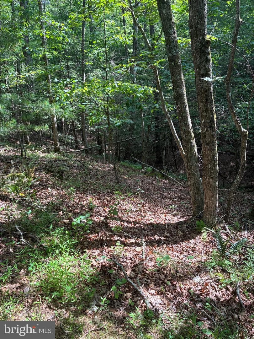 1499 Buggy Ridge Road photo 37