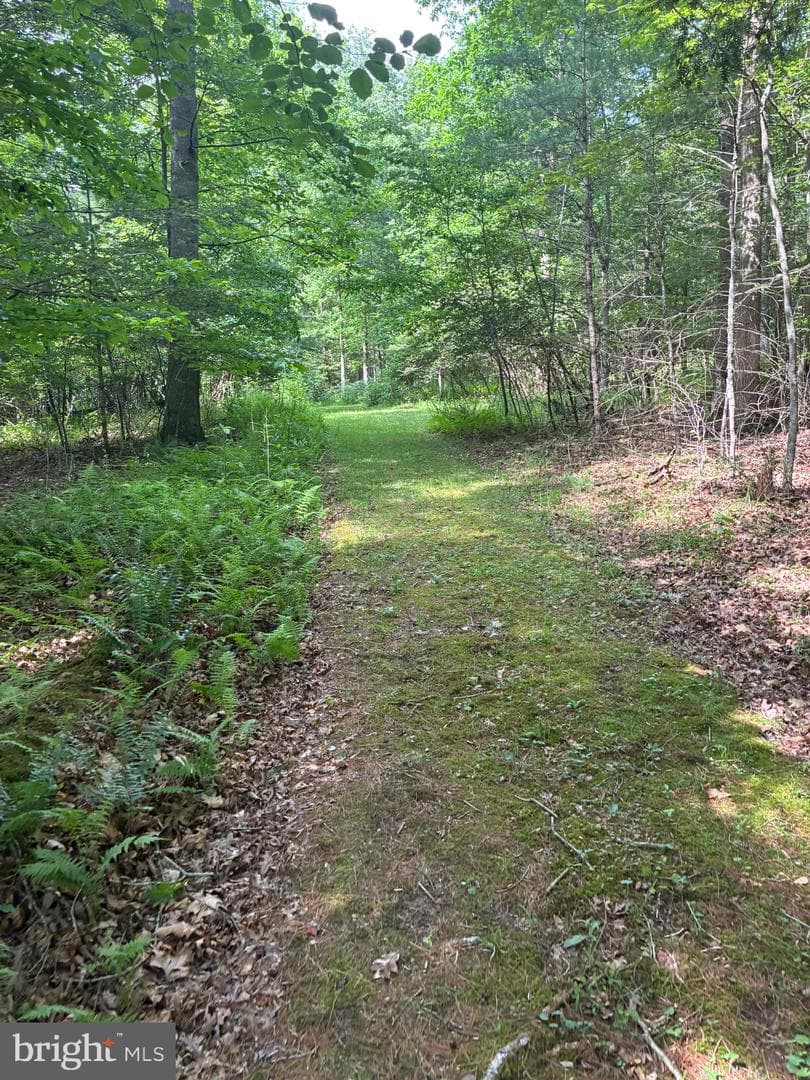 1499 Buggy Ridge Road photo 38