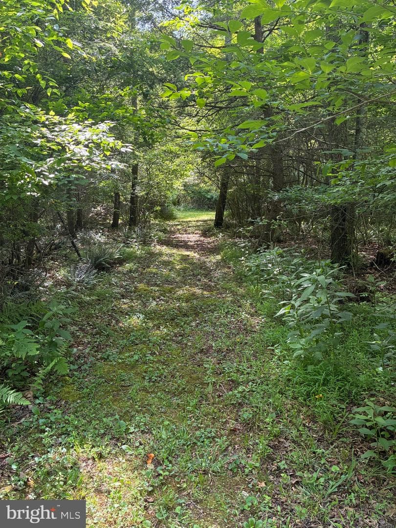 1499 Buggy Ridge Road photo 39
