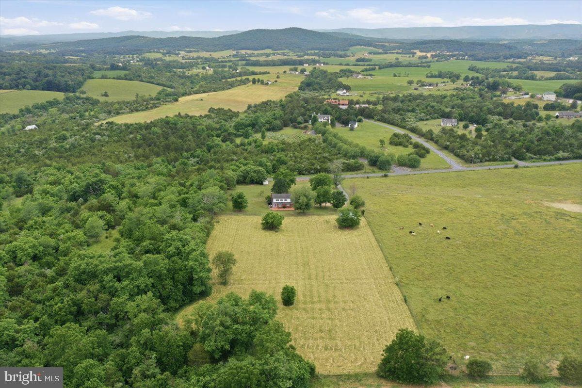 2447 Headquarters Road photo 49