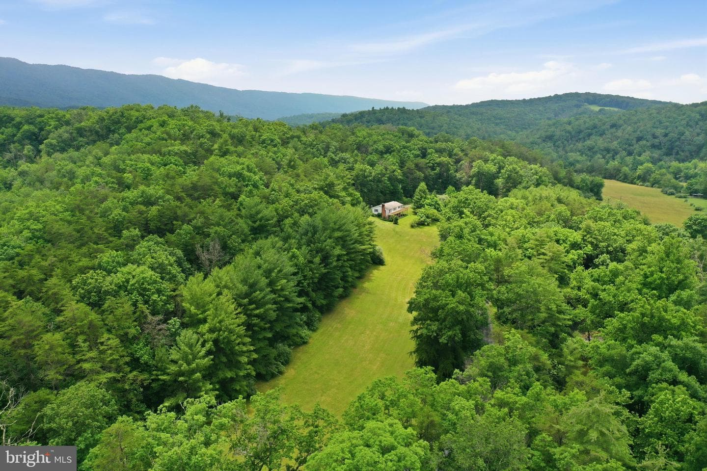 3704 Cedar Creek Road photo 37