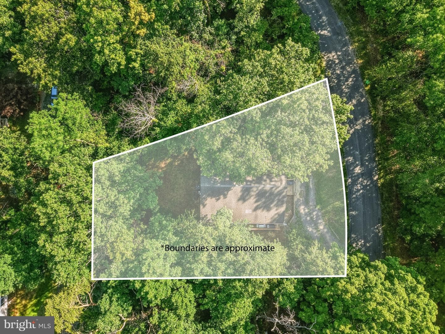 272 Willow Lane photo 44